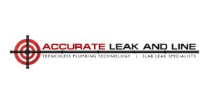 Accurate Leak and Line Customer Review