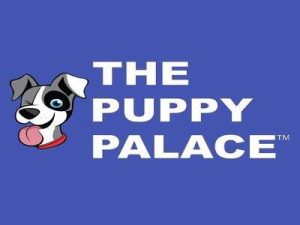 The Puppy Palace Thrilled Customer Review